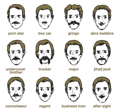 Moustache Chart Movember is Around the Corner!