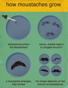 ‘How Mustache’s Grow’ by Fake Science
