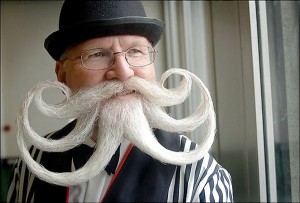World Beard & Mustache Championship Category Breakdown